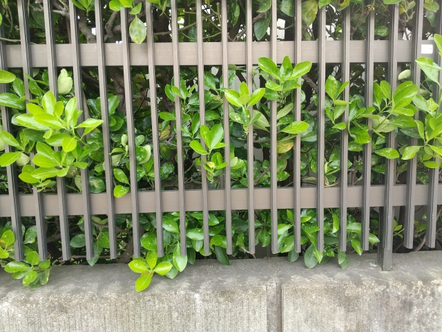 隣地境界線に塀やフェンスを設置する上での注意点