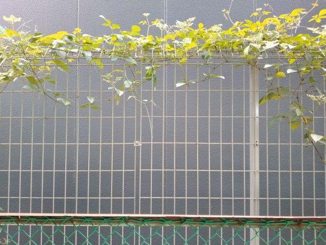 どのようなフェンスが良いか