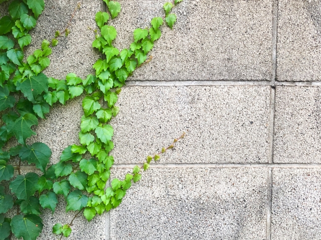 ブロック塀のメリット・デメリット