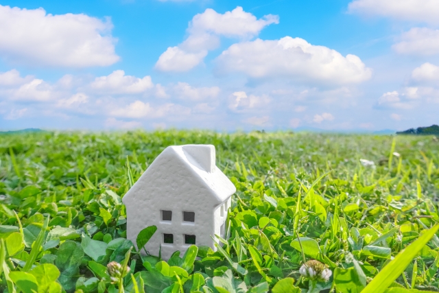 芝生の剥がし方