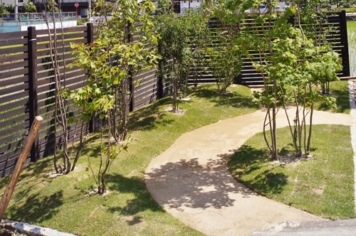 雑木風ガーデンコース｜お得な庭づくりセット－smileガーデン